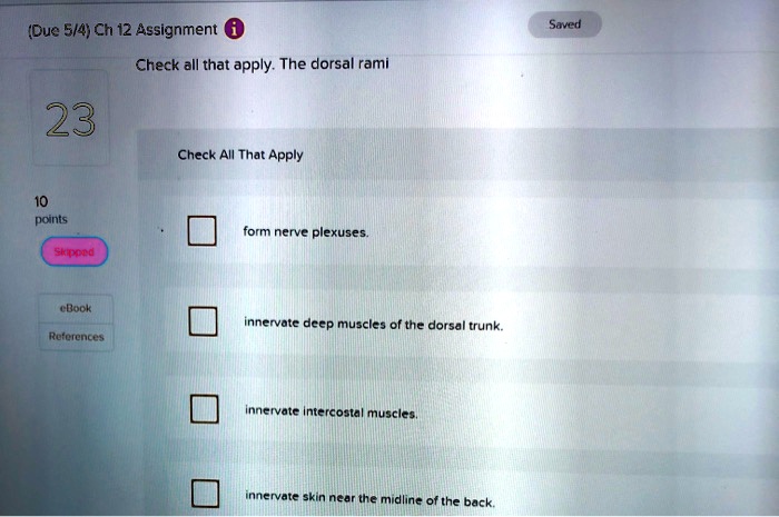 Check all that apply. the dorsal rami