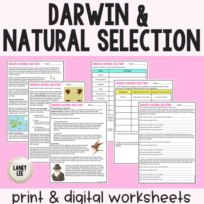 Patterns of natural selection worksheet answer key pdf