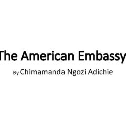 The american embassy chimamanda ngozi adichie